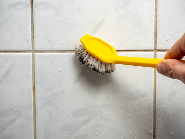 Best Attic Mold Removal  in Breinigsville, PA