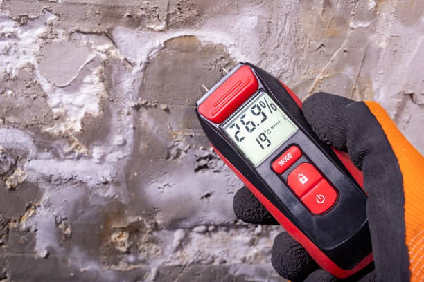 Best Commercial Mold Removal  in Breinigsville, PA