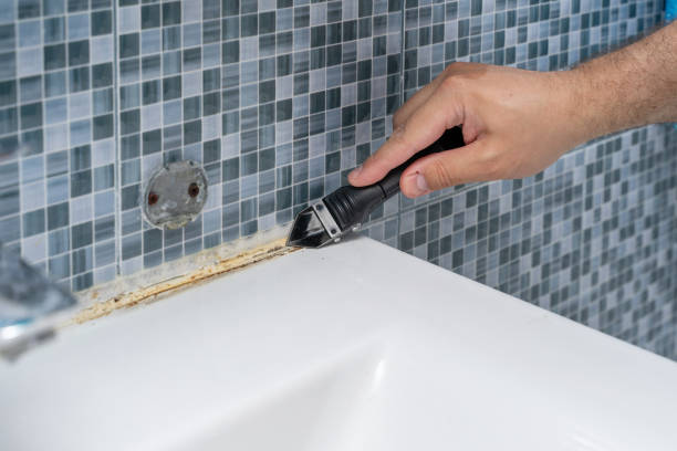Best Toxic Mold Removal  in Breinigsville, PA