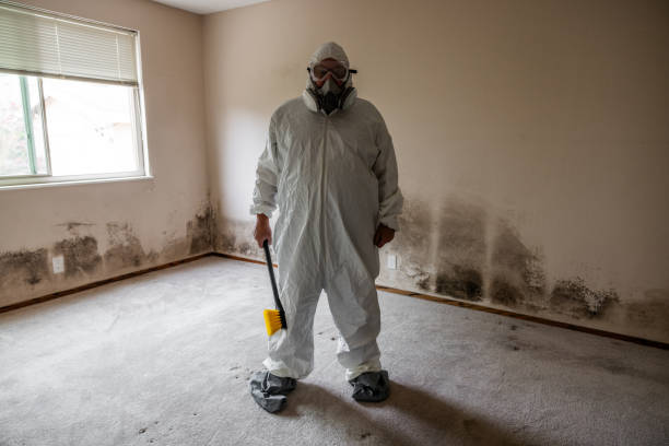 Crawl Space Mold Removal in Breinigsville, PA